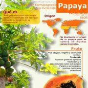 Propiedades de la papaya