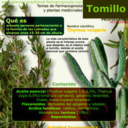 Propiedades del Tomillo