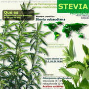 Propiedades de la Stevia