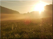 Der Nebel des Morgens