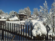 Bild: Wünschendorf Erzgebirge Kleingarten