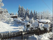 Bild: Wünschendorf Erzgebirge Kleingarten
