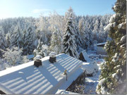 Bild: Wünschendorf Erzgebirge Kleingarten