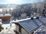 Bild: Wünschendorf Erzgebirge Kleingarten