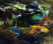 50 x 60 cm