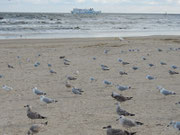 Am Strand von Swinemünde