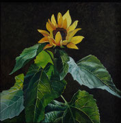 Sonnenblume/50x50 cm/ Juli 2022
