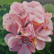 Balkongeranie/ 50x50 cm/ Öl auf Holz/ September 2025