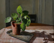 Pilea im Sommerlicht/ 30x24 cm/ Juni 24 (verkauft)