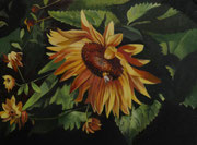 Sonnenblume im Nachmittagslicht/ 24x18 cm/ Juni 24