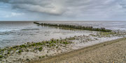 't wad bij Wierum