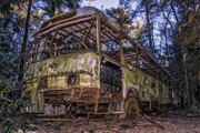 Bus in 't Bos