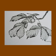Oktober: "Kastanienreife", 1973, Tusche (42 x 59,3 cm) 