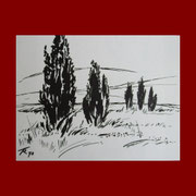 Juni: Wacholder-Heide, 1973, Tusche (21 x 27,6 cm) 