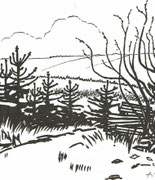 "Waldweg zur Erbachklamm (Hunsrück)", 1975, Tusche, (42 x 59,4 cm / Ausschnitt)