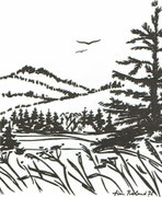 "Im Fichtelgebirge", 1976, Tusche, (42 x 59,4 cm / Ausschnitt)