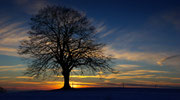 Winter 3