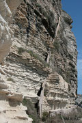 Bonifacio - Escalier du roi d'Aragon (187 marches)