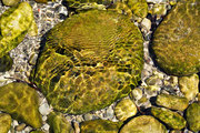 Lichtspiele unter Wasser