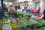 Buntes Treiben am Wochenmarkt