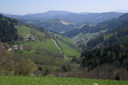 Panoramablick in das Mürztal