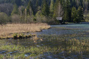 Über die Landesgrenze runter zum Erlaufsee