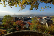 Blick vom Taborfriedhof Richtung Wieserfeldplatz