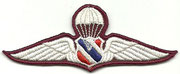Thailand Training insignia Parachutist third class