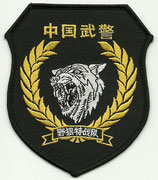 Armed police "Wild Wolf" Anti-terrorist Commando - SWAT