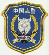Special Armed police corps "Snow Wolf" commando unit. - SWAT