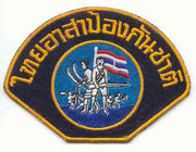 Policía auxiliar