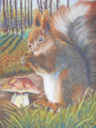 Pinceau l'écureuil - Pastel sec sur pastelmat