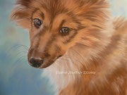 Lassie - Pastel à l'huile sur pastelpad