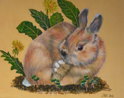 Pissenlit le lapin - Pastel sec sur pastelmat