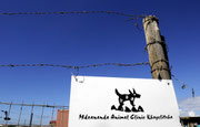 Die MDZANANDA ANIMAL CLINIC im Township Khayelitsha.