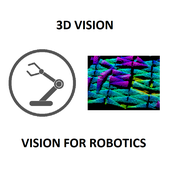 vision 3D robotique
