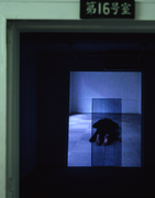 Himalaya-Kaidan, video installation, door, projector, MEM, 2003