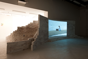 Heidi52-Flower, HEIDI52-Black&White, video installation, Matsui Megumi & Voice Gallery +pfs/w, Kyoto 2012/photo:Fukunaga Kazuo