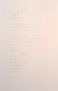 LABOUR-48-She Lies/Forbidden Wall, detail, text, silkscreen on wall, text, Kobe Art Village Center, 2000
