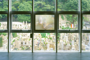 She Reaches, projector, miniDV tape, video installation, Outenin Temple, 2000, photo:Fukunaga Kazuo