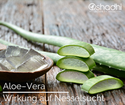 Aloe Vera und Hautkrankheiten