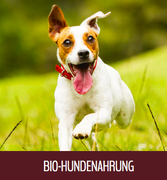 BIO Hundefutter von Herrmanns