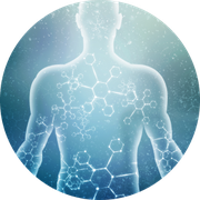 Gesunde Zellen – gesunder Körper