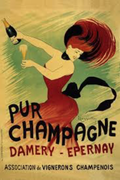 Champagne Damery