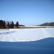 北東側には何も無く、木々越しに米山が見えます。