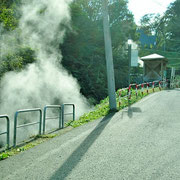 松之山の源泉。