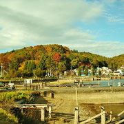 野尻湖畔は紅葉で有名なんです。