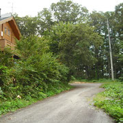 近くには定住されている方もいらっしゃいます。