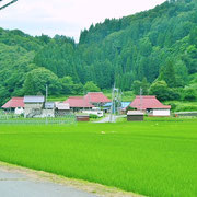 緑の中に佇む、毛見の集落です。