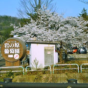 牧区入口にある岩の原ワイナリー
